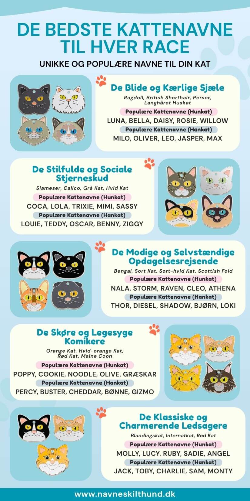 Kattenavne efter race og personlighed med navneforslag og graverede kattetegn til han- og hunkatte